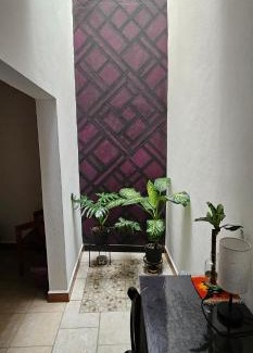 San Antonio de la Cal Apartment | Pet-Friendly Retreat at Depa Púrpura Caracol – 10/10 Rating