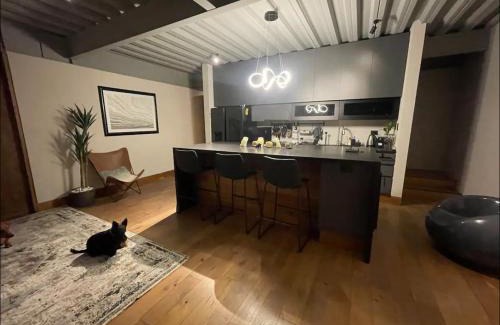 Queretaro Apartment | Pet Friendly Retreat at Depa Teo: Your Ideal Getaway