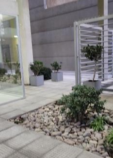 Bahia Blanca Apartment | Cozy 1-Bedroom Apartment with Pet-Friendly Amenities