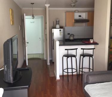 Cavancha Apartment | Pet-Friendly Cavancha Retreat with Ocean Views and Kitchen