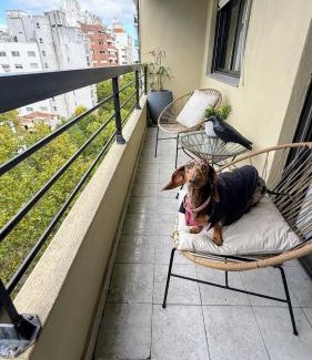 Mar del Plata Apartment | Pet-Friendly Departamento Ana with Stunning Ocean Views