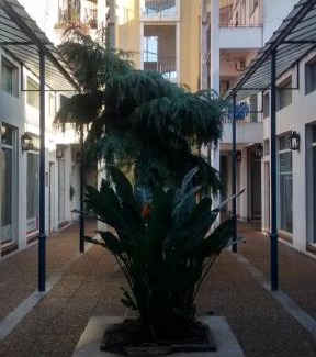 Lujan Apartment | Convenient Centered Stay Near Luján Basilica