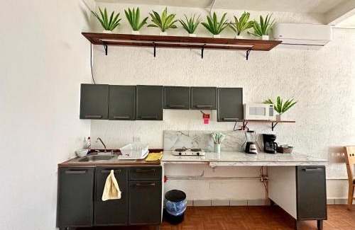 Los Cabos Apartment | Central 1-Bedroom Retreat with Pet-Friendly Amenities