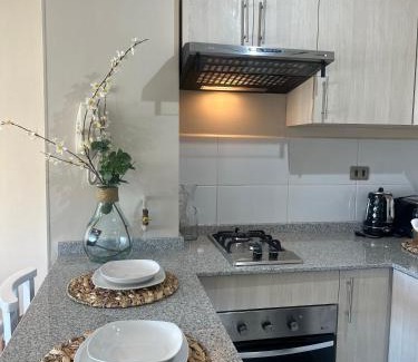 Concepcion Apartment | Departamento Dual Prieto