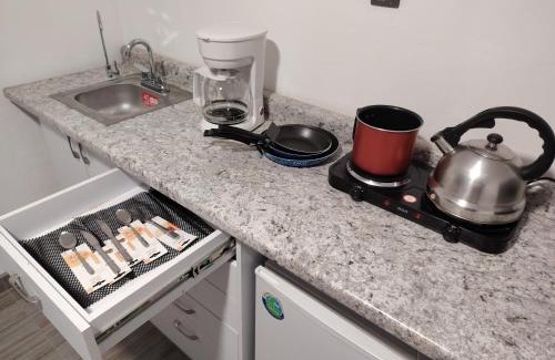 Chihuahua Apartment | Departamento en zona Distrito 1