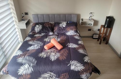 Downtown Santiago Apartment | Departamento Estudio