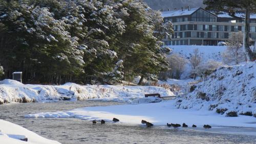 Province of Tierra del Fuego Apartment | Delightful Departamento Terrazas Del Beagle: 4-Star Stay