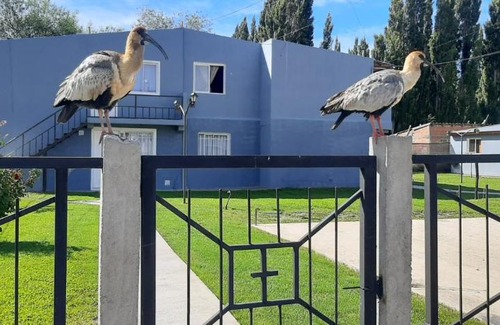 El Calafate Apartment | Pet-Friendly Departamentos MAWER - Rated 9/10 by Guests