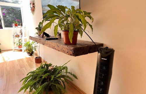 La Concepcion Apartment | Cozy Departamentos Mi Querido Coyoacán with Pet-Friendly Perks