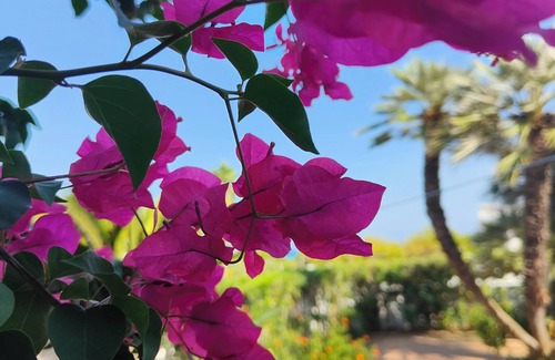 San Felice Circeo Villa | Relaxing Villa Retreat with Sea Views and Green Oasis