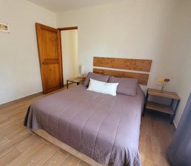 Santa Lucia Apartment | Family-Friendly Depto. Pucón with Pet Amenities