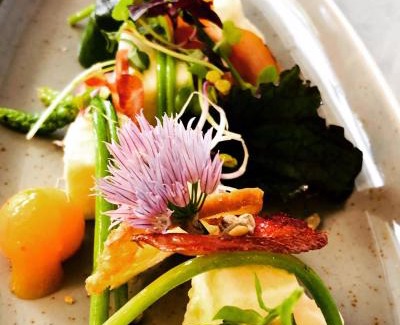 Rohrbach Hotel | Discover Der Grüne Baum: Family-Friendly Retreat with Spa