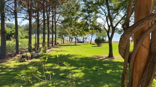 Colonia Ayui House | Der Hase I