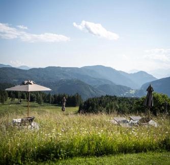 Redagno Hotel | Discover Der Zirmerhof: Pet-Friendly Oceanfront Retreat