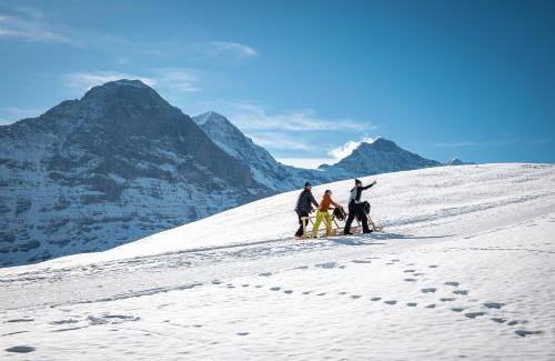 Grindelwald Hotel | Discover Derby Swiss Quality Hotel: Rated 8.7/10, Pet Friendly