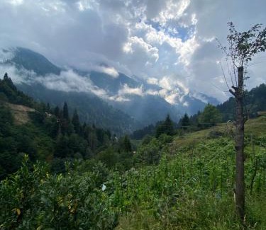 Ayder Bed & Breakfast | Welcoming Dervişoğlu Dağ Evi: Family-Friendly Retreat