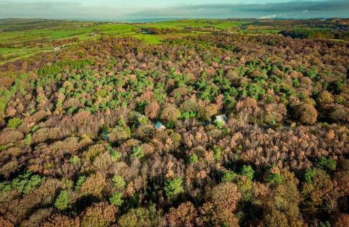 Farley House | Derwent, woodland lodge with hot tub for 6