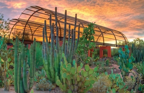 Chandler Apartment | Explore Pet-Friendly Units with Pool Near Desert Botanical Garden