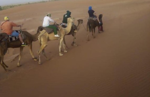 M'Hamid El Ghizlane Other | Pet-Friendly Haven at Desert Camp M'hamid for Families