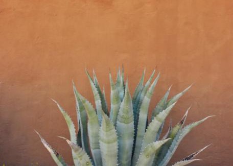 Study Butte-Terlingua House | Desert Pearl: Family-Friendly Getaway Near Big Bend