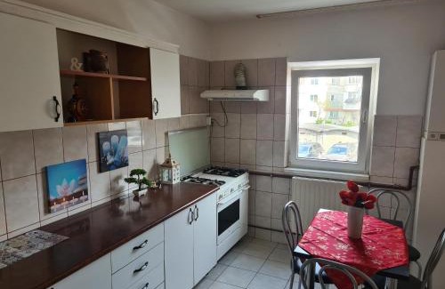 Bacau Apartment | Stylish Apartment Near Mall with Pet-Friendly Amenities