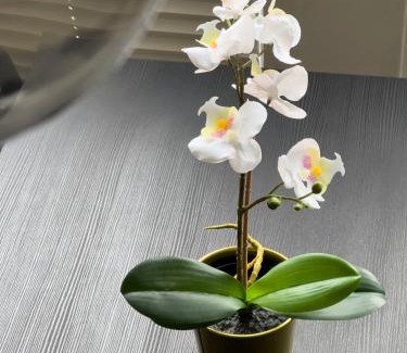 Metternich Apartment | Stylish Apartment Near University with Family-Friendly Amenities