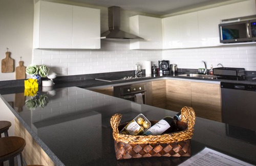 Playacar Condo | Designer Penthouse Paradise with Ocean View & Private Hot Tub