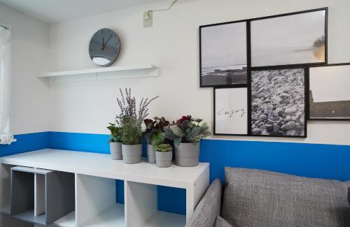 Okubo Villa | Modern Family Duplex Villa Near Shin-Okubo Station