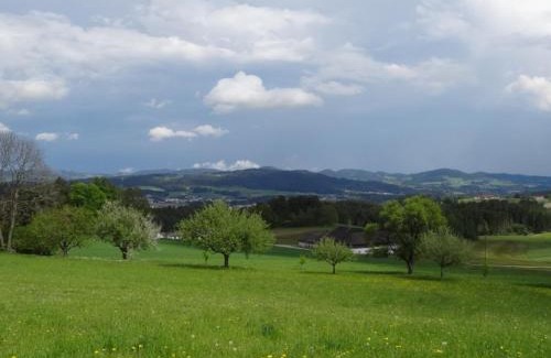 Waldburg Apartment | Charming Desl's Little Farm: Pet-Friendly Retreat with Dining