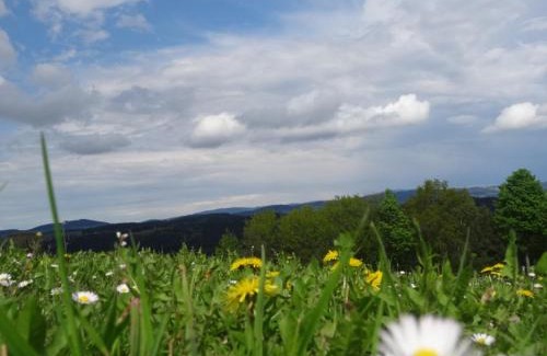 Waldburg Apartment | Charming Desl's Little Farm: Pet-Friendly Retreat with Dining