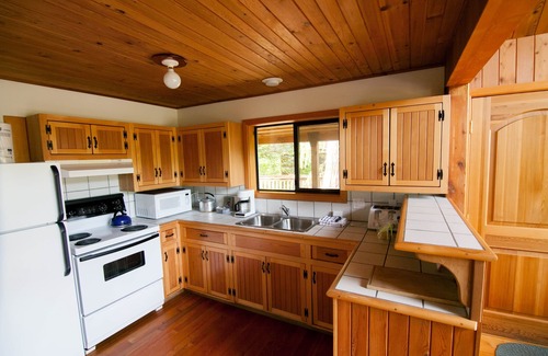 Powell River Cabin | Pet-Friendly Desolation Resort with Spa and Hot Tub