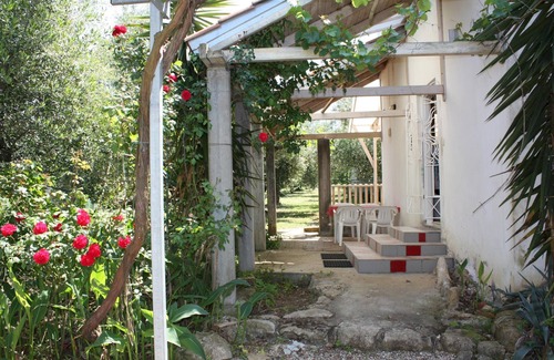 Myrtea House | Idyllic Holiday Home Surrounded by Olive Groves in Ilia