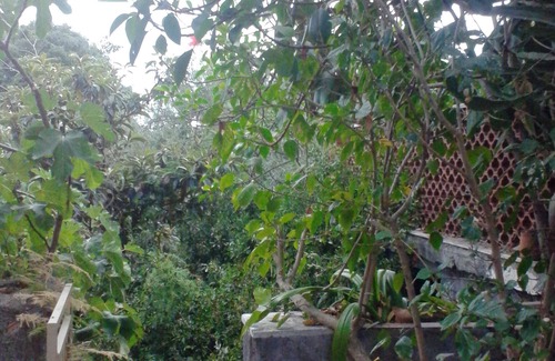 Scillichenti House | Tranquil Detached House with Pool and Breakfast Included