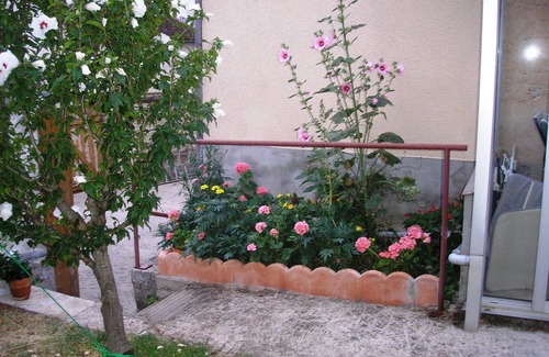 Accolay House | Oceanfront Garden Retreat - Guest Rated 10/10 for Families