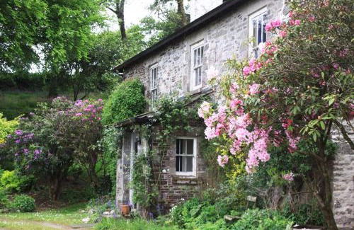 Saint Ann's Chapel Apartment | Devon Country Paradise: Pet-Friendly Retreat with Pool