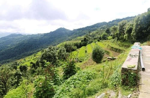 Dhampus Cabin | Eco-Friendly Retreat at Dhampus Village Eco Lodge
