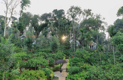 Vayittiri House | Top-Rated Dhanagiri Home Stay with Family-Friendly Amenities