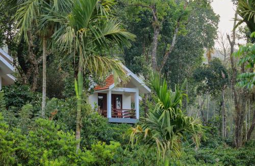 Vayittiri House | Top-Rated Dhanagiri Home Stay with Family-Friendly Amenities