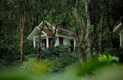 Vayittiri House | Top-Rated Dhanagiri Home Stay with Family-Friendly Amenities