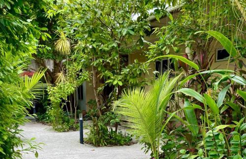 Dhangethi House | Beachfront Bliss at Dhangethi Retreat - Rated 9/10!