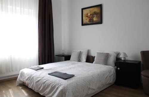 Bogacs Apartment | Guest Rated 10/10: Diófa Apartman in Bogács with Kitchen