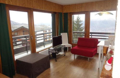 Veysonnaz Apartment | Diablerets D 023 - MOUNTAIN apartment 6 pers