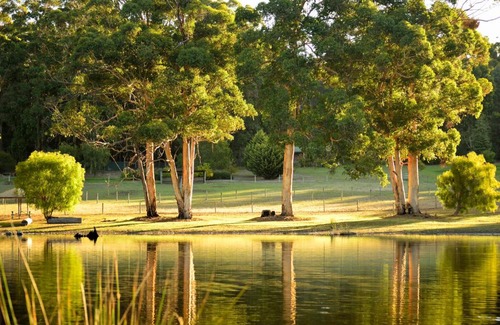 Middlesex House | Explore Diamond Forest Farm Stay: Pet-Friendly Retreat