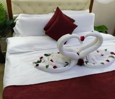 Kisumu Hotel | Budget-Friendly Diamond Stepper Hotel with Pet Amenities