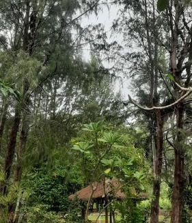 Lhoknga Cabin | Discover Dian Rana Bungalow Lampuuk: Pet-Friendly Retreat