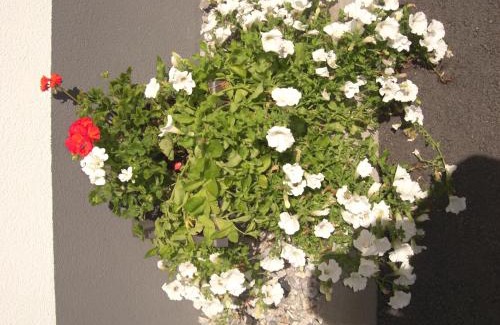 Hoarberg Apartment | Exceptional die Gartenwohnung - Tanja Tipotsch Awaits You