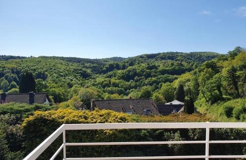 Neuwied Apartment | Inviting Green Oasis Along the Rhine with Family-Friendly Amenities