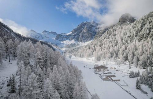 Telfes im Stubai Hotel | Experience Die Schlickeralm: Pet-Friendly Oceanfront Retreat
