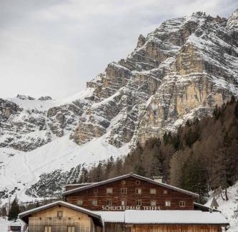 Telfes im Stubai Hotel | Experience Die Schlickeralm: Pet-Friendly Oceanfront Retreat