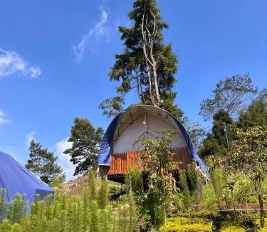 Dieng Kulon Other | Dieng glamping syari'ah